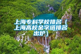 上海专科学校排名（上海高校金字塔排名出炉）