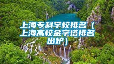 上海专科学校排名（上海高校金字塔排名出炉）