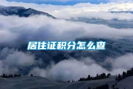 居住证积分怎么查