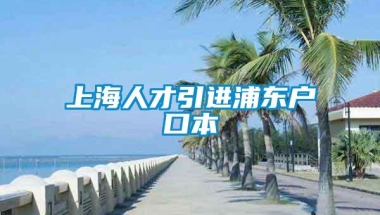 上海人才引进浦东户口本