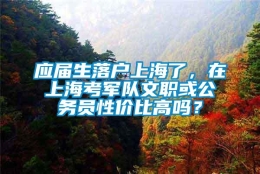 应届生落户上海了，在上海考军队文职或公务员性价比高吗？