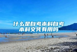 什么是自考本科自考本科文凭有用吗