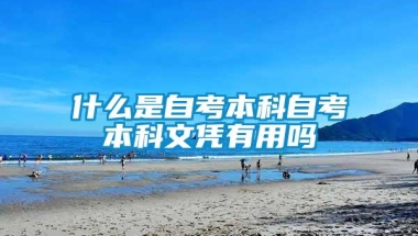 什么是自考本科自考本科文凭有用吗