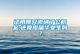 试用期只缴纳了公积金,还算应届毕业生吗？