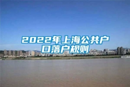 2022年上海公共户口落户规则