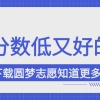 2022年上海分数不高但很好的大学（本科、专科汇总）