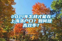 2021年怎样才能在上海落户口？如何提高效率？