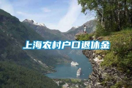 上海农村户口退休金