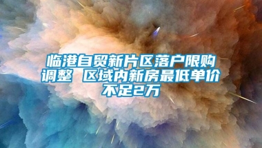 临港自贸新片区落户限购调整 区域内新房最低单价不足2万