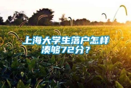 上海大学生落户怎样凑够72分？