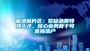 临港新片区：紧缺急需特殊人才、核心业务骨干可直接落户