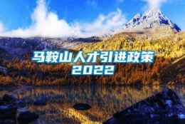 马鞍山人才引进政策2022