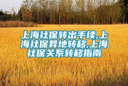 上海社保转出手续,上海社保异地转移,上海社保关系转移指南