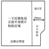 关于2019级研究生新生办理户口及换发身份证有关事项的通知