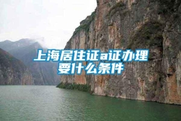 上海居住证a证办理要什么条件