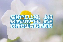 居转户口上海，上海居住证转户口：未违反计划生育政策解读