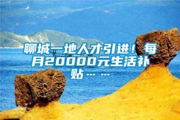 聊城一地人才引进！每月20000元生活补贴……