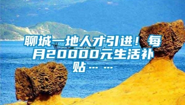 聊城一地人才引进！每月20000元生活补贴……