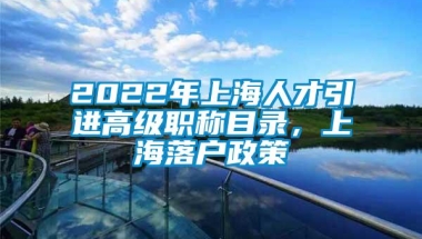 2022年上海人才引进高级职称目录，上海落户政策