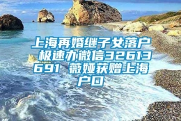 上海再婚继子女落户 极速办微信32613691 薇娅获赠上海户口