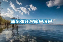 浦东张江居转户落户