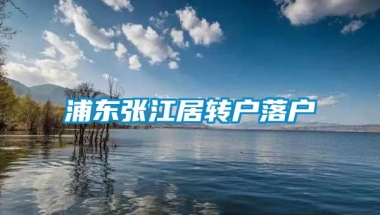 浦东张江居转户落户