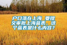 户口落在上海 要提交审批上海蓝表，这个蓝表是什么内容？