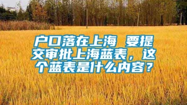 户口落在上海 要提交审批上海蓝表，这个蓝表是什么内容？