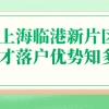 【落户新政】上海临港新片区人才落户优势知多少？