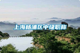 上海杨浦区中级职称