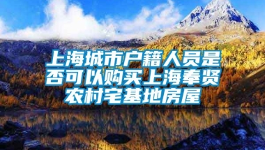 上海城市户籍人员是否可以购买上海奉贤农村宅基地房屋