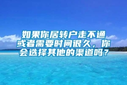 如果你居转户走不通或者需要时间很久，你会选择其他的渠道吗？