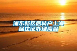 浦东新区居转户上海居住证办理流程