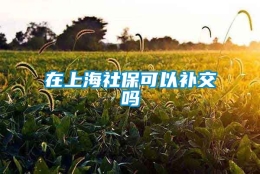 在上海社保可以补交吗