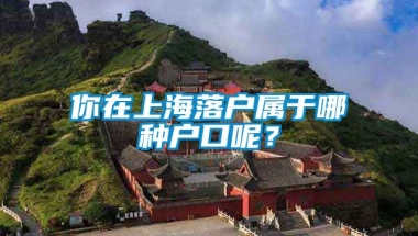 你在上海落户属于哪种户口呢？