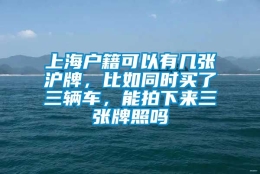 上海户籍可以有几张沪牌，比如同时买了三辆车，能拍下来三张牌照吗