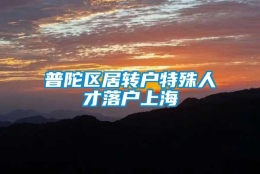 普陀区居转户特殊人才落户上海