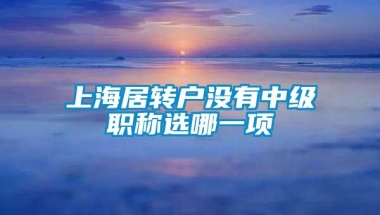 上海居转户没有中级职称选哪一项