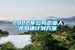 2022年公司企业人才引进计划方案