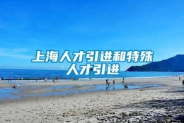 上海人才引进和特殊人才引进