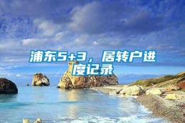 浦东5+3，居转户进度记录