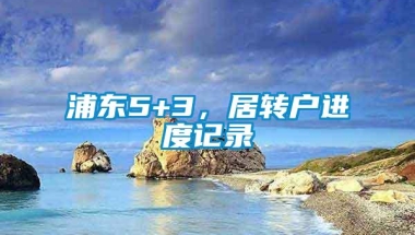 浦东5+3，居转户进度记录