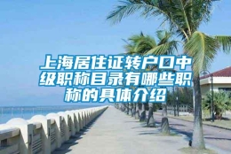 上海居住证转户口中级职称目录有哪些职称的具体介绍