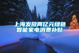 上海发放两亿元绿色智能家电消费补贴