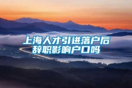 上海人才引进落户后辞职影响户口吗