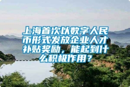 上海首次以数字人民币形式发放企业人才补贴奖励，能起到什么积极作用？