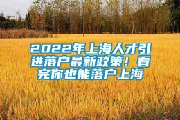 2022年上海人才引进落户最新政策！看完你也能落户上海