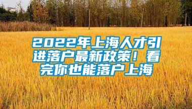 2022年上海人才引进落户最新政策！看完你也能落户上海