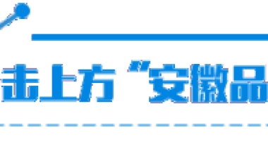 2019年安徽省级引进境外人才项目计划申报通知