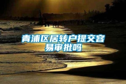 青浦区居转户提交容易审批吗